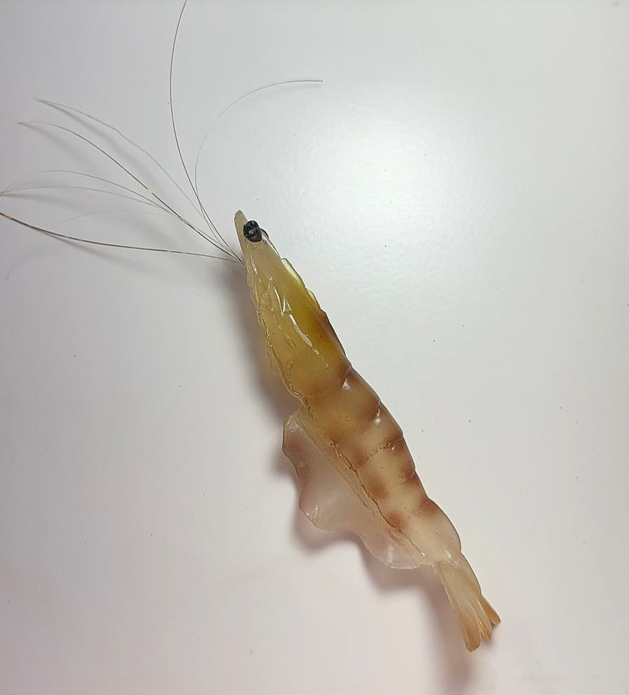 Crevette Magic Killer 2.0