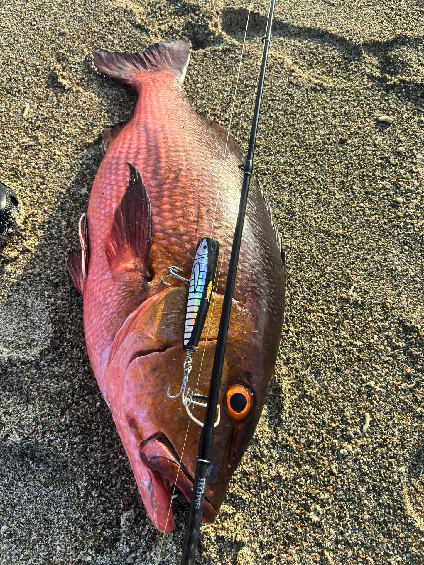Easy Popper