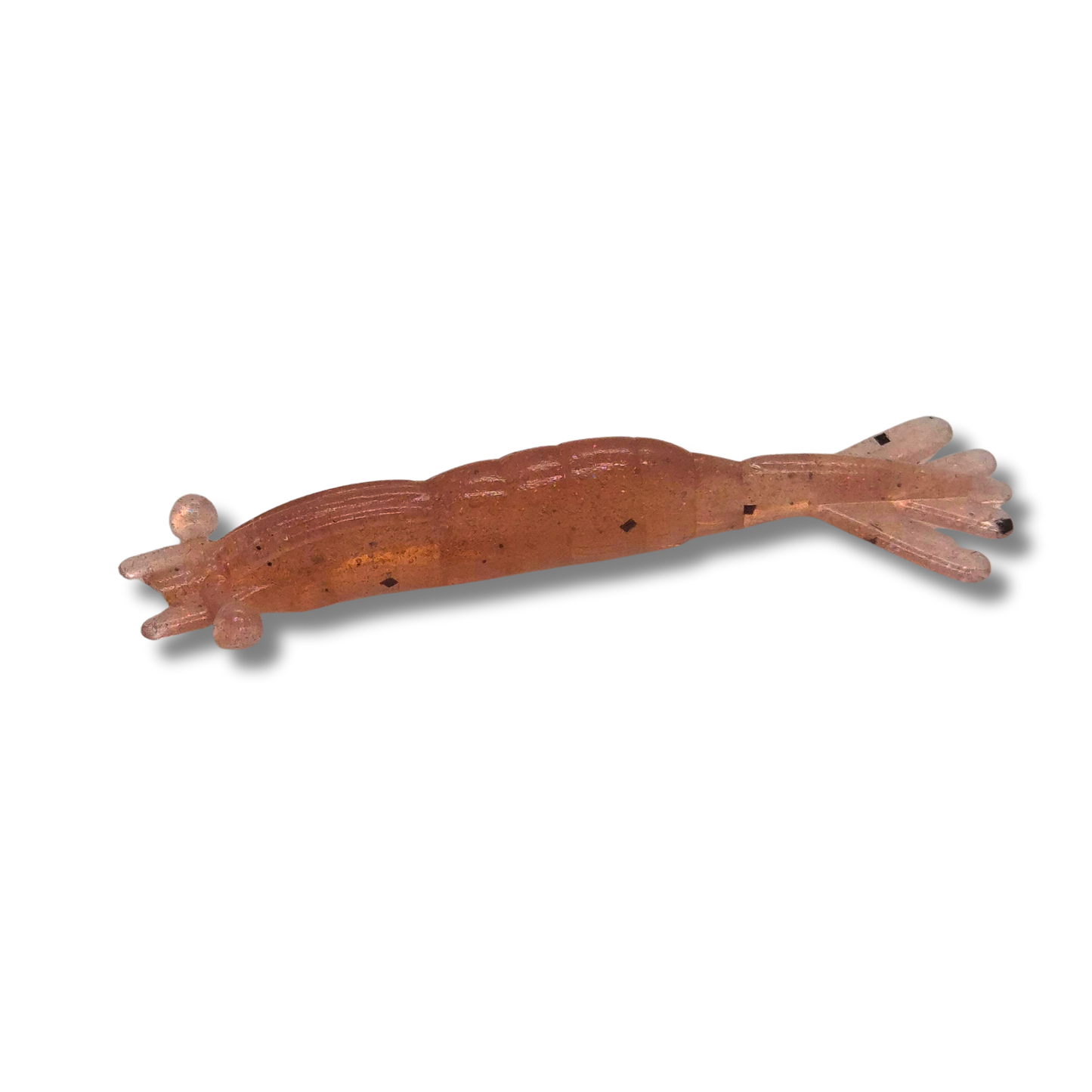 Crevette Pescador Fishing - SM003