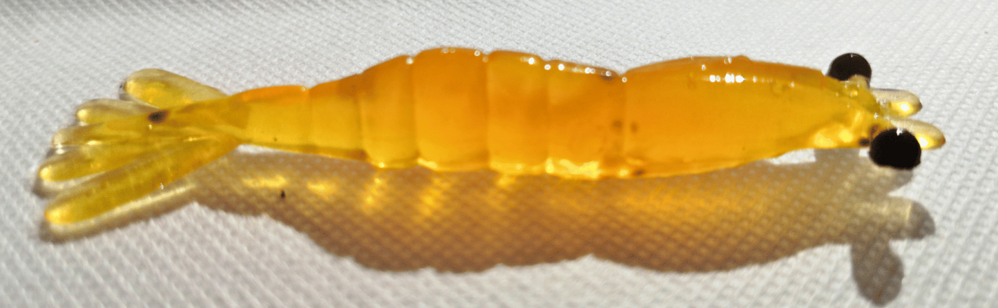 Crevette Pescador Fishing