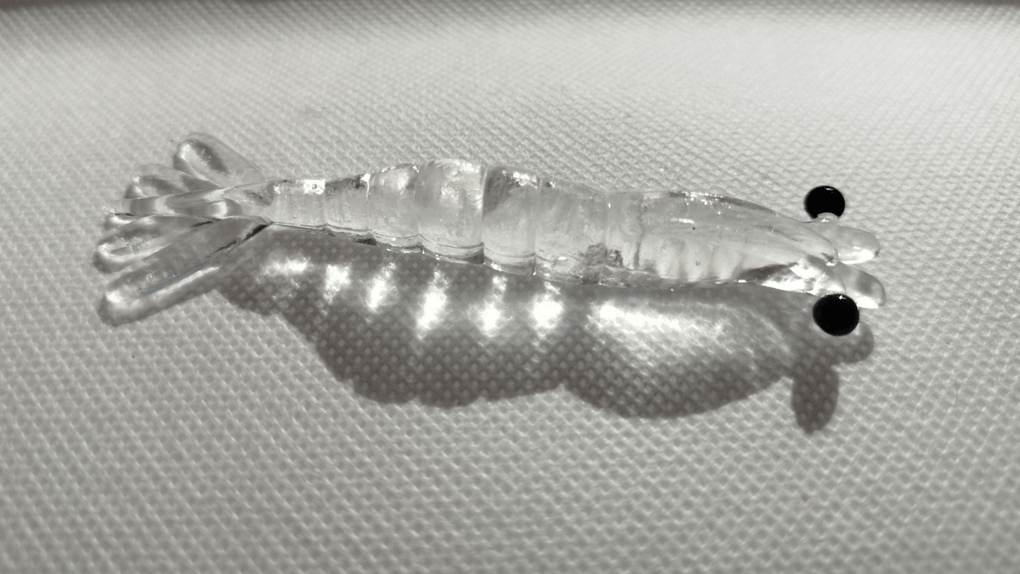 Crevette Pescador Fishing