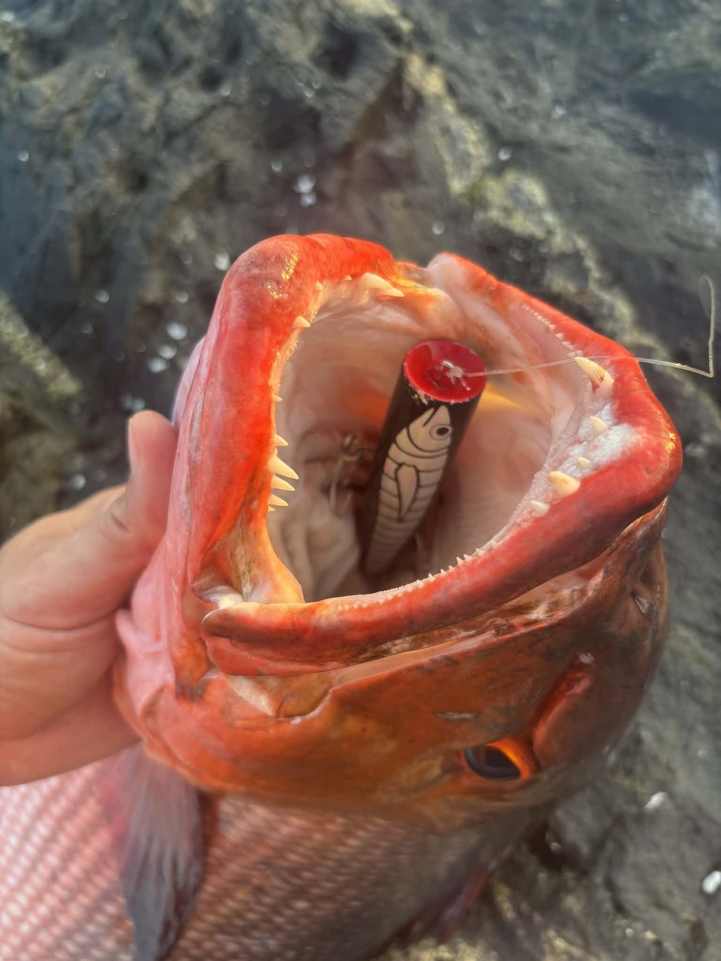 Easy Popper