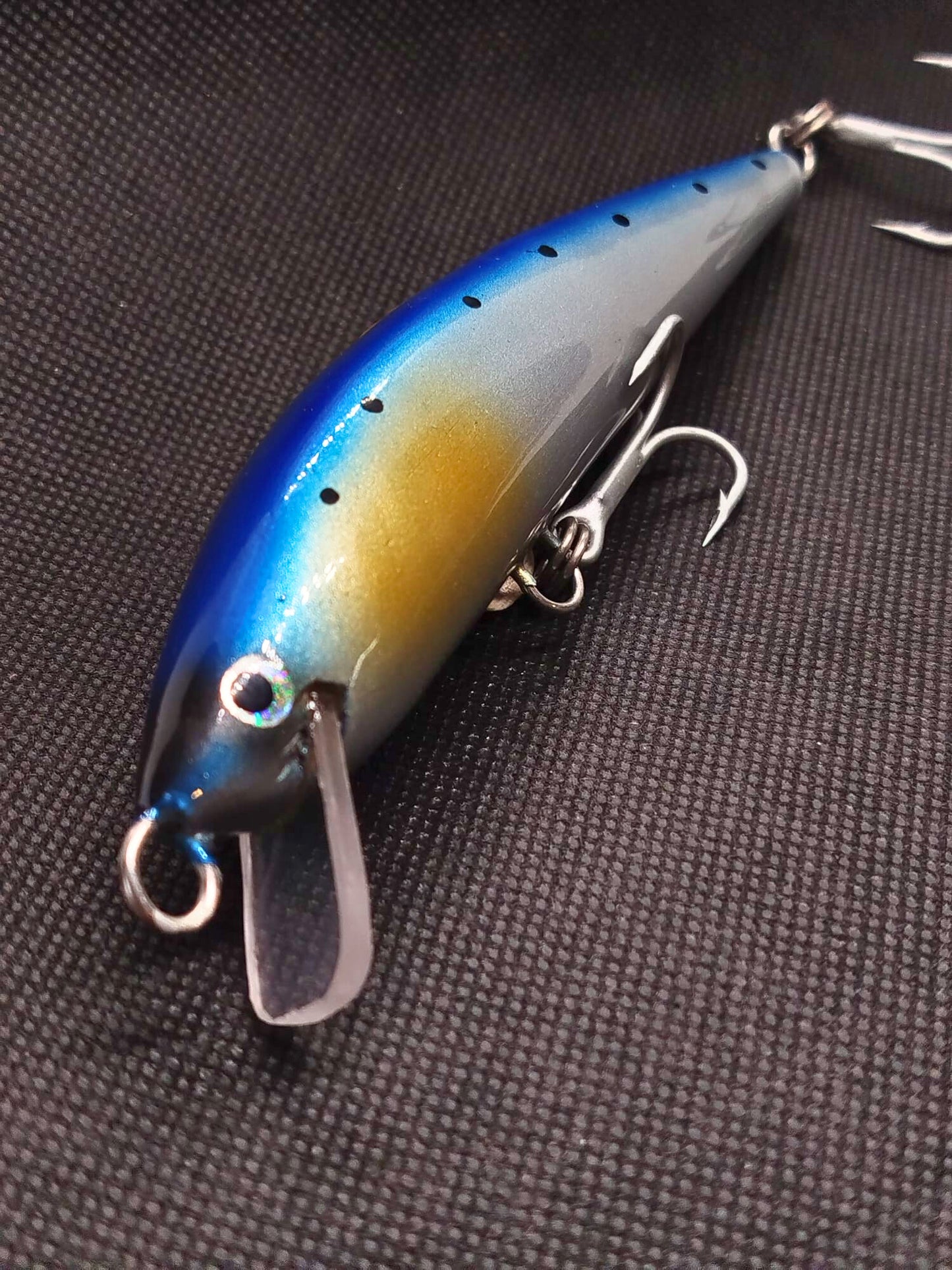 Atlanticus